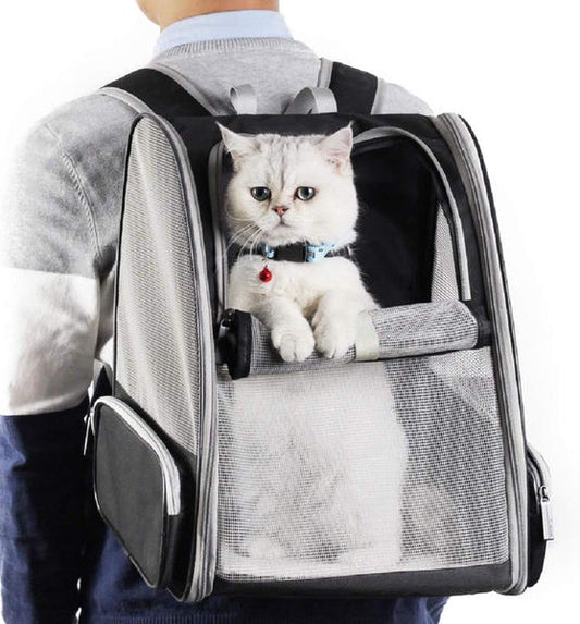 Ewerydays | Rucksackträger Katze