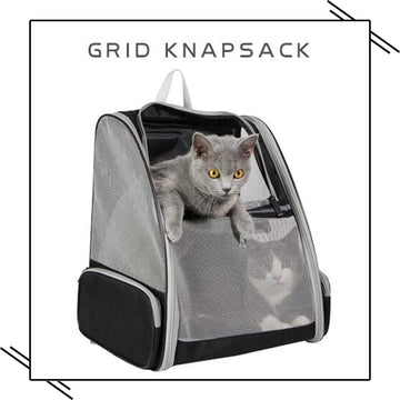 Ewerydays | Rucksackträger Katze