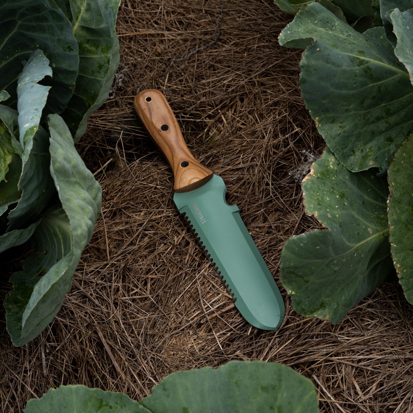 Ewerydays | Hori Hori Classic Mint – Der Klassiker in frischer Farbe