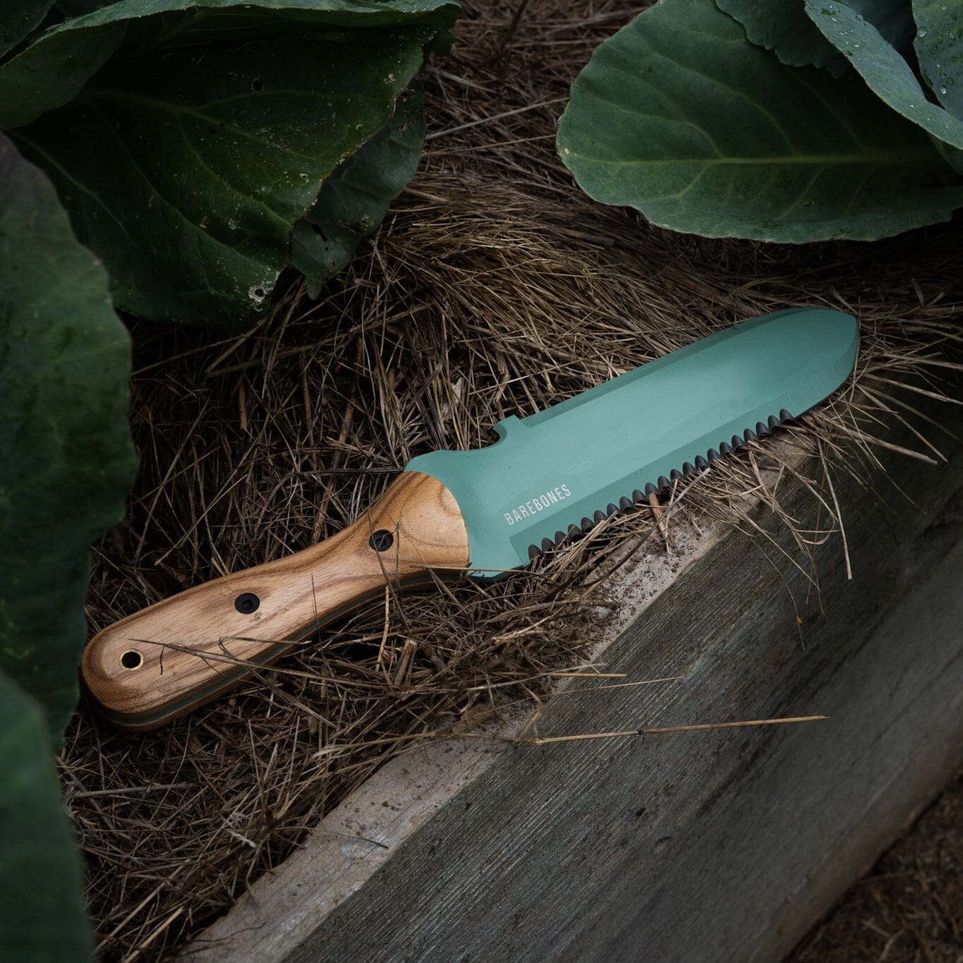 Ewerydays | Hori Hori Classic Mint – Der Klassiker in frischer Farbe