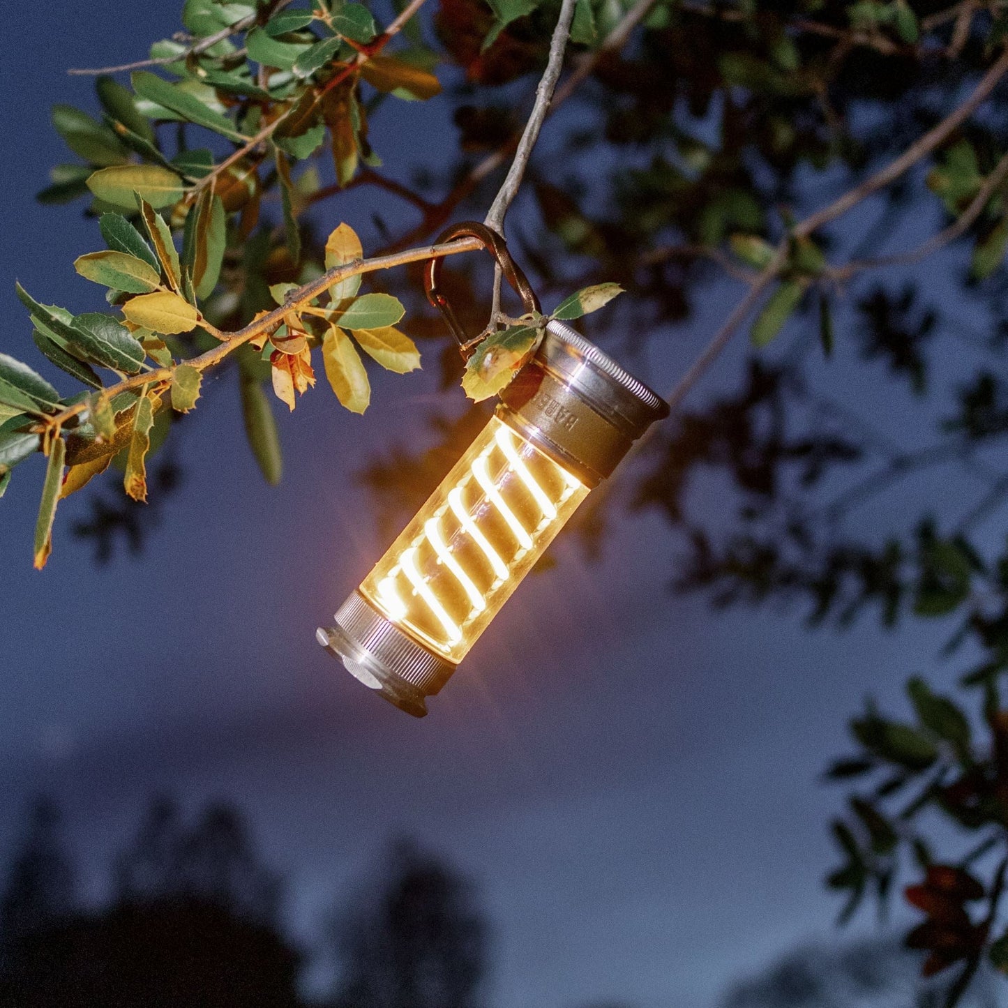 Ewerydays | Edison Light Stick – Mehrzweck-Laterne und Taschenlampe mit USB-C-Aufladung und 7 Leuchtmodi