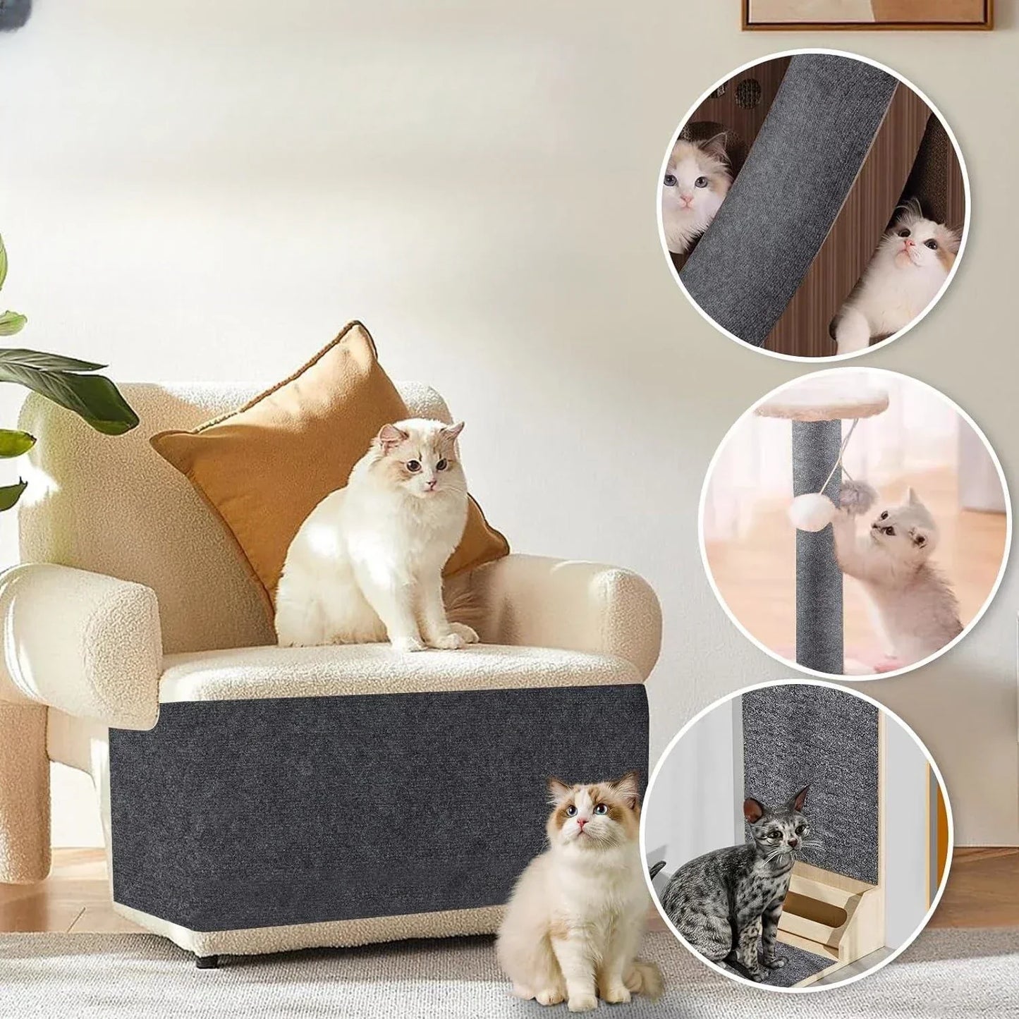 Ewerydays | Pawver – kratzschutz für möbel transparent & robust – für katzenhaushalte