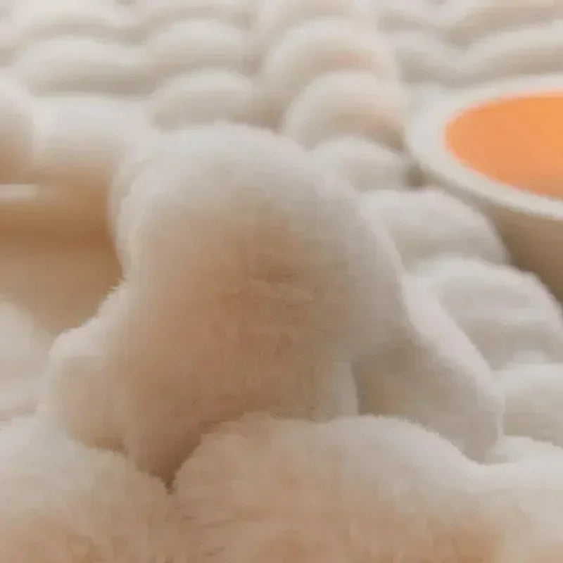 Ewerydays | VeluLuxe – Tragbare Winter Kuscheldecke Kunstfell – Weich & stilvoll für Sofa & Reisen
