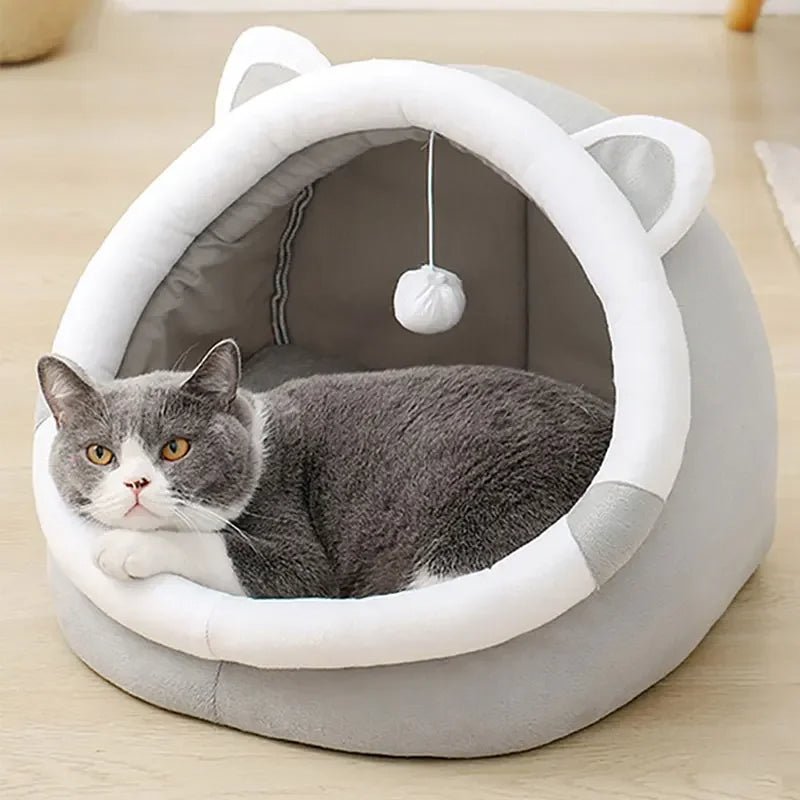 Ewerydays | PurrOasis – Das gemütliche Versteck für glückliche Katzen!